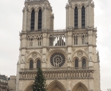 Notre-Dame Cathedral (Notre-Dame de Paris)